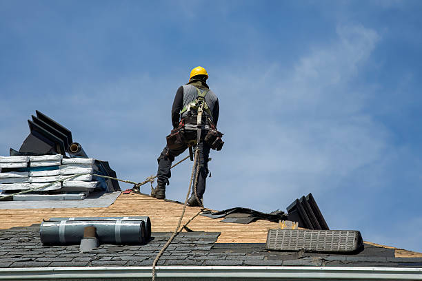 Professional Roof Replacement technician working in Sasser, GA